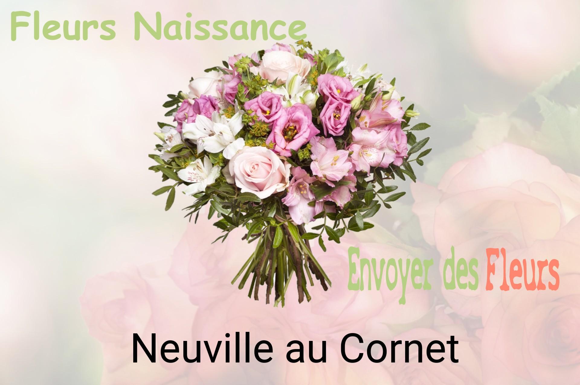 Bouquet de fleurs de naissance livré à Neuville-au-Cornet